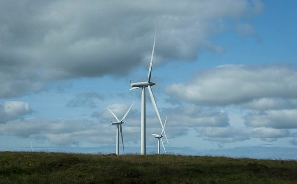 wind farm